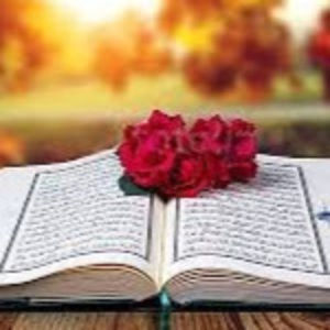 Meet your Posher, Rawah